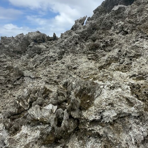 Makefu Cliffside